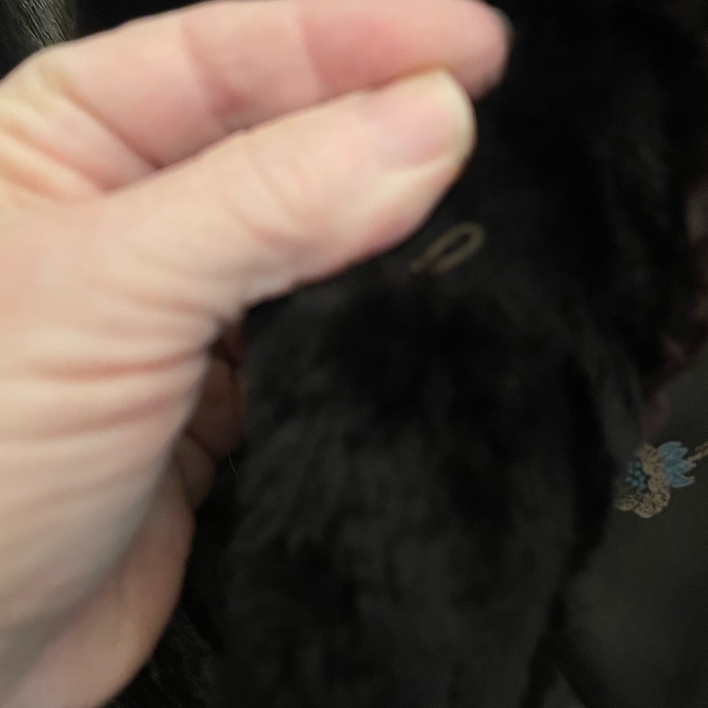 Gorgeous coat, like new